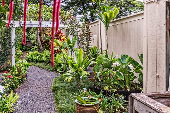 Yard Area at The Old Wailuku Inn